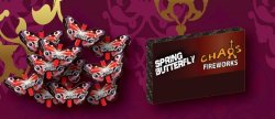 Spring Butterfly