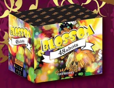 Blossom