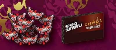 Spring Butterfly
